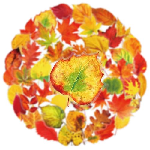 50pcs Transparent maple leaves Sticker for Scrapbooking Water Bottles Laptop Journaling,Cartoon fallen leaves Decal for Teens Planners,Cards, Gifts,Crafts,Art Projects,Glass Potion Bottles(maple leaf) - color: Maple Leaf