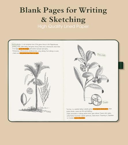 PAIBAS Blank Journal Notebook for Women Men,160 Pages,A5 Hardcover Sketchbook for Drawing, Sketch book, Unlined Notebooks for School,Work, Note Taking,Travel Journals for Writing 5.8"x8.5" (Green) - color: Green, size: Blank (5.8" x 8.5")