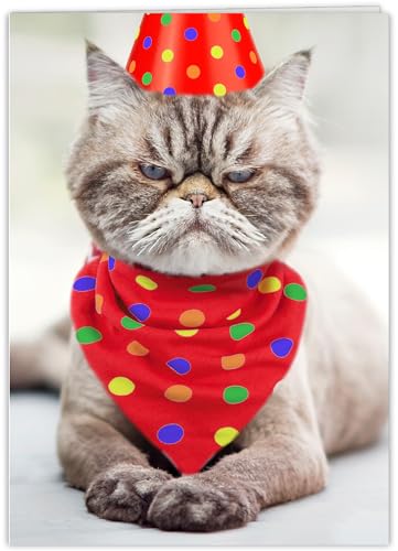 Funny Birthday Card for Women, Men & Friends! Grumpy Cat Photo Joke