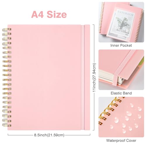 Graph Paper Notebook 8.5" X 11": 5 Subject Graphing Notebook with Dividers - color: Pink