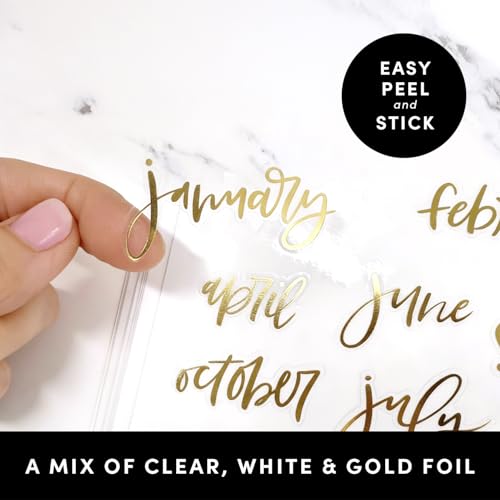 PAPERAGE Planner Stickers, Simple Gold Foil Accessories for Planners, Calendars, Journals & Notebooks, (Black, White & Gold), 25 Sheets, Over 2,200 Stickers Per Pack - color: Black, White, Gold