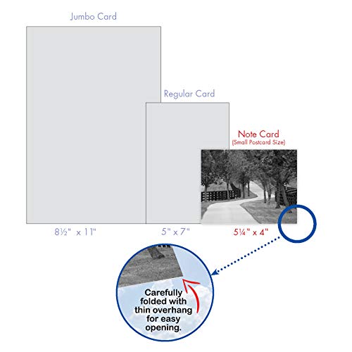 The Best Card Company - Box of 10 All Occasion Cards Blank (4 x 5.12 Inch) - Scenic Landscape Cards Assorted - Tree Lines M3313-NB - style: Tree Lines
