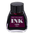 PATIKIL Fountain Pen Ink Grape Purple, 30ml Calligraphy Pen Bottled Ink Non-Carbon Colorful Smooth Flow Color Dip Drawing Set Art Supplies for Writing Painting Journaling - color: Grape Purple