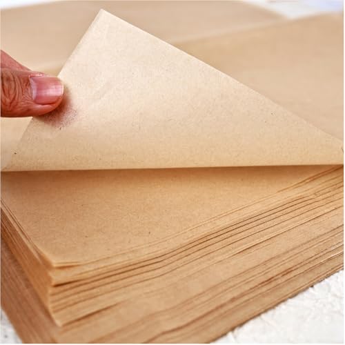 100 Sheets Natural Gampi Bark Rice Paper, 13.8x16.5”, Ultra-Thin, Strong & Translucent Cicada Wing Traditional Handmade Xuan Paper for Fine Art Painting, Botanical Rubbing and Calligraphy - color: 100 Vintage Cicada Wing Paper, size: 13.8 x 16.5 Inches