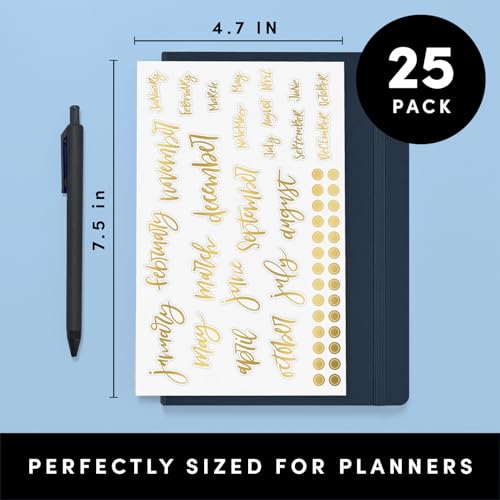 PAPERAGE Planner Stickers, Simple Gold Foil Accessories for Planners, Calendars, Journals & Notebooks, (Black, White & Gold), 25 Sheets, Over 2,200 Stickers Per Pack - color: Black, White, Gold