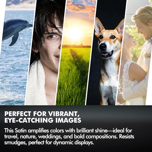 Koala Roll Photo Paper Resin Coated 24in x 110ft Satin Photo Print Paper