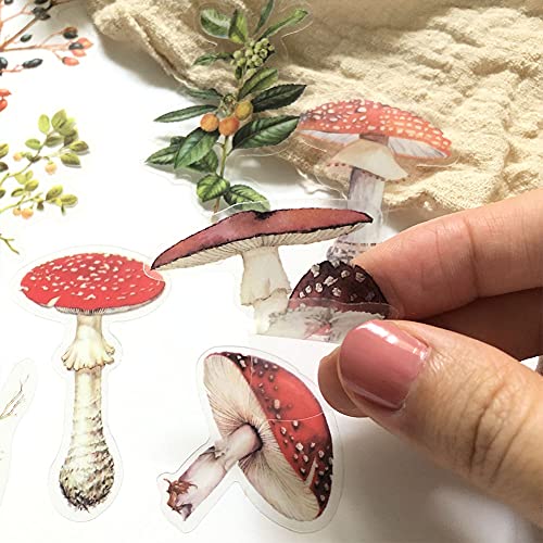 Mushrooms Plant Stickers Set(80 PCS) PET Transparent Vintage Nature Stickers for Scrapbooking Planner Journaling Wrapping DIY Crafts Cards Album Water Bottles Phone Cases Laptops - color: Vintage Mushroom & Plant