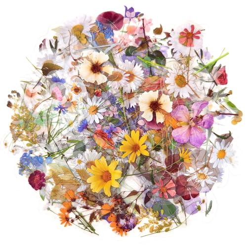 120Pcs Botanical Flower Stickers for Scrapbook, Transparent Natural Floral Resin Decals Stickers for Journaling Planner Wrapping DIY Crafts Cards Album Water Bottles Phone Cases Laptops - color: Fall Floral Cute