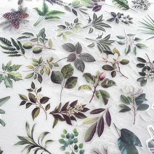 50-Piece Transparent Waterproof Greenery Plant Stickers for Scrapbooking, Journaling & Crafting – Realistic Botanical Leaves, Ferns, and Tropical Plants, Self-Adhesive Decorative Stickers - color: Green Plant