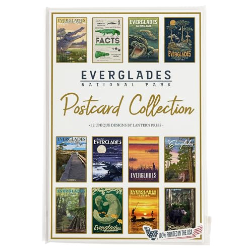 Lantern Press Everglades National Park - Postcard Set of 12 Different Original Hand Illustrated Postcards … - color: Everglades National Park