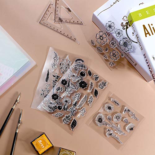 Outus 9 Pcs Flower Clear Stamps Set with 2 Acrylic Blocks, Transparent