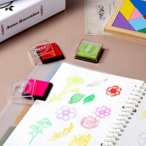 Outus 9 Pcs Flower Clear Stamps Set with 2 Acrylic Blocks, Transparent
