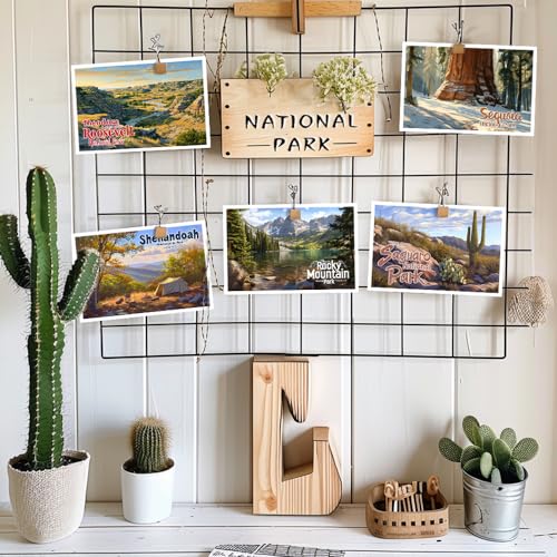 SHOXREM Retro National Parks Postcard Set: Vintage Travel Collage Collection Wall Decoration - Photorealistic Painting Print Illustrations of 63 National Parks, 6" W x 4" H