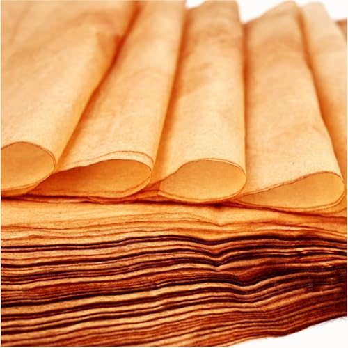 Diuhofart 100 Sheets Gampi Rice Paper, 9.4 x 15.7”, Handmade Aged Translucent Art Paper, Thin Yet Strong Fiber for Chinese Calligraphy, Painting, Decoupage, Collage and Junk Journaling - color: 100 Ancient Cicada Wing Paper, size: 9.4 x 15.7 inches
