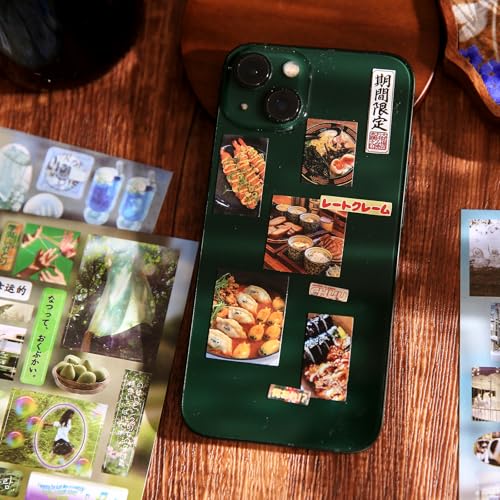 800 Pcs Japanese Manga Sticker Book, Vintage Aesthetic Stickers for Journaling, 45 Sheets Pre-Cut Japanese Sticker Book for Adults, Scrapbook & Planner Stickers for DIY Crafts (Four Seasons) - style: A-23