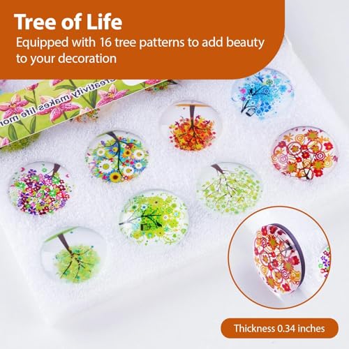 ALIGLE 16pcs Beautiful Glass Refrigerator Magnets Fridge Stickers Funny for Office Cabinets Whiteboards Tree of Life Decorative Photo Abstract (Tree of Life)