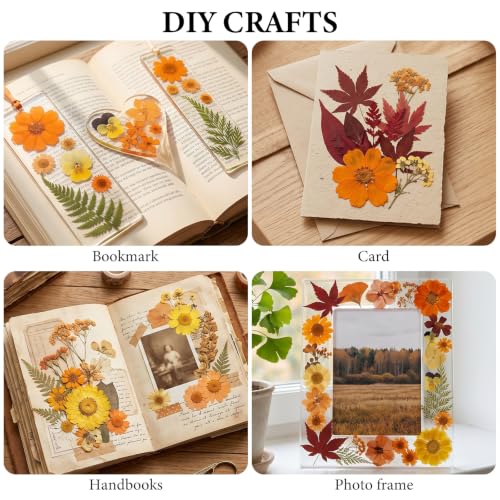 350 Pcs Fall Dried Flowers for Crafts,Real Nature Dried Flowers for Resin
