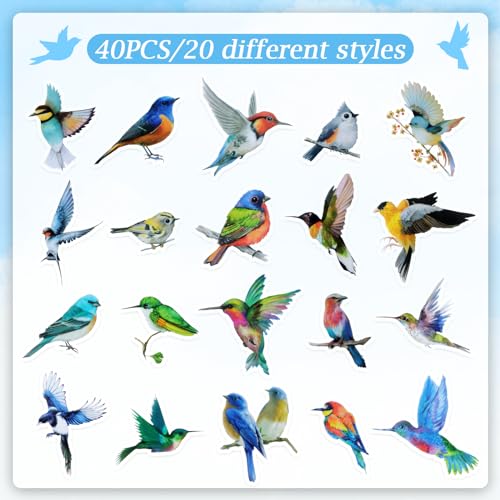 Imeepa 40Pcs Bird Stickers Transparent Scrapbooking Stickers (Pack of 3) - size: Birds (Pack of 3)