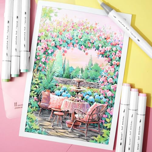 SFAIH Alcohol Markers Brush & Fine Tip 321 Set - Dual Tip Professional Artist Markers for Adult Coloring Books, Illustration, Manga, Animation, Architecture Sketching - Refillable Ink - color: 321 Colors