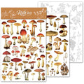 CATaireen Rub on Transfers for Crafts Vintage Scrapbooking Stickers Small Decals Adults Journaling DIY Supplies Use for Fabric Paper Wood Stone Canvas Acrylic Cloth (Mushroom) - style: Mushroom