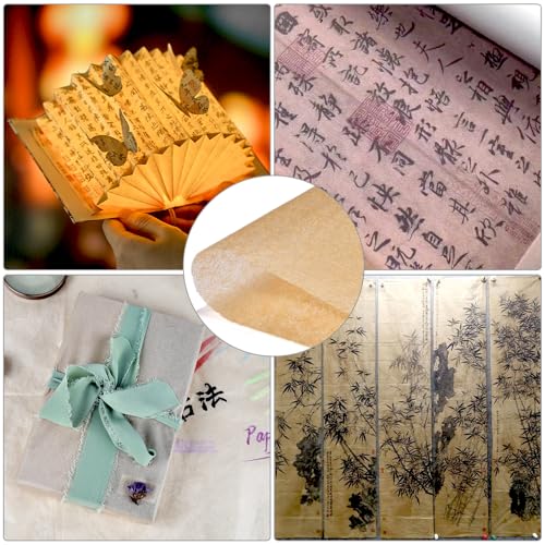 100 Sheets Natural Gampi Bark Rice Paper, 13.8x16.5”, Ultra-Thin, Strong & Translucent Cicada Wing Traditional Handmade Xuan Paper for Fine Art Painting, Botanical Rubbing and Calligraphy - color: 100 Vintage Cicada Wing Paper, size: 13.8 x 16.5 Inches