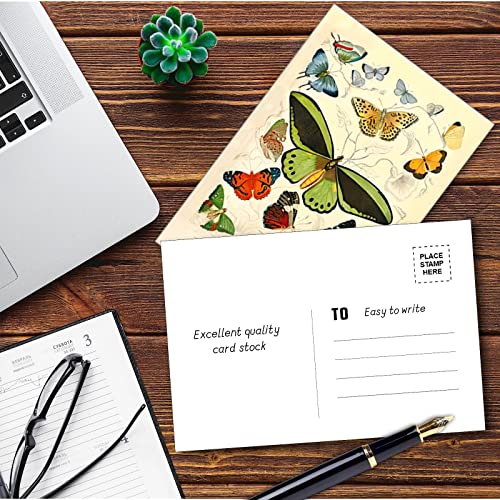 LCLAIDYDY 100 PCS Vintage Postcard Set,Post Cards for Mailing 4x6 Retro Style Cottagecore Botanical Ephemera Aesthetic Postcards Pack for Adults Collage Collection DIY Cardstock Paper - size: Set of 100
