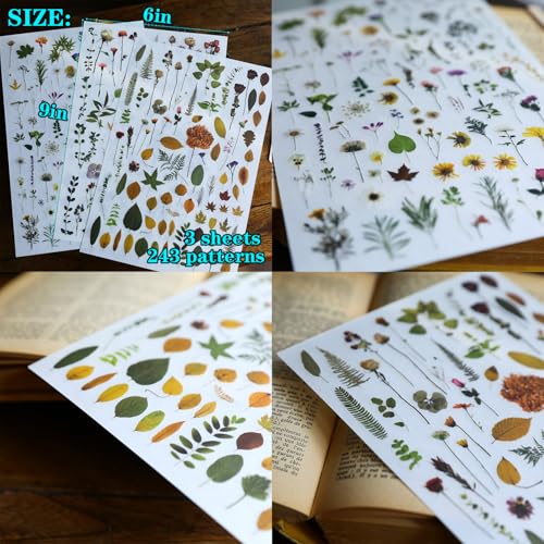 CATaireen Rub on Transfers for Crafts Vintage Scrapbooking Stickers Small Decals Adults Journaling DIY Supplies Use for Fabric Paper Wood Stone Canvas Acrylic Cloth (Dried Flower) - style: Dried Flower