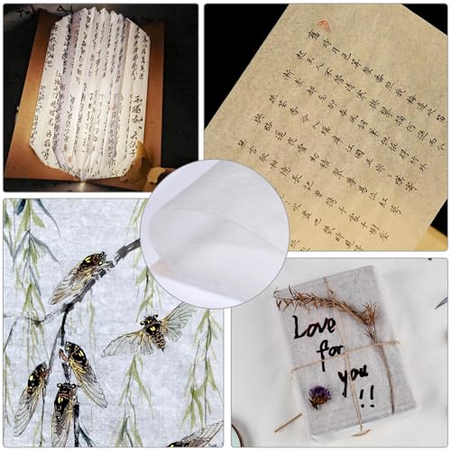 100 Sheets Luminous White Gampi Rice Paper, 9.4 x 15.7”, Handmade Translucent Cicada Wing Art Paper, Strong & Smooth Thin Fiber for Botanical Tracing, Calligraphy, Decoupage and Wedding Crafts - color: 100 White Cicada Wing Paper, size: 9.4 x 15.7 inches