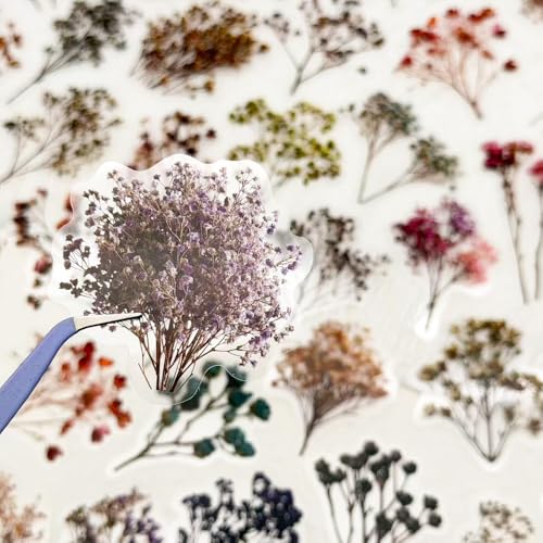 50PCS Vintage Dried Flower Stickers, Clear Botanical Pressed Floral Stickers Pack, Aesthetic Plant Decals for Scrapbooking Journaling Laptop Water Bottle Decor - color: Dried Flower