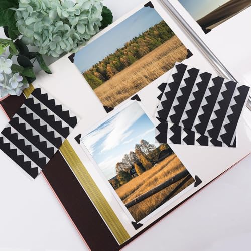 Lineco Self-Adhesive Photo Corners, 0.5 Inch, Black, 252 PCS - color: Black, size: 1 Set