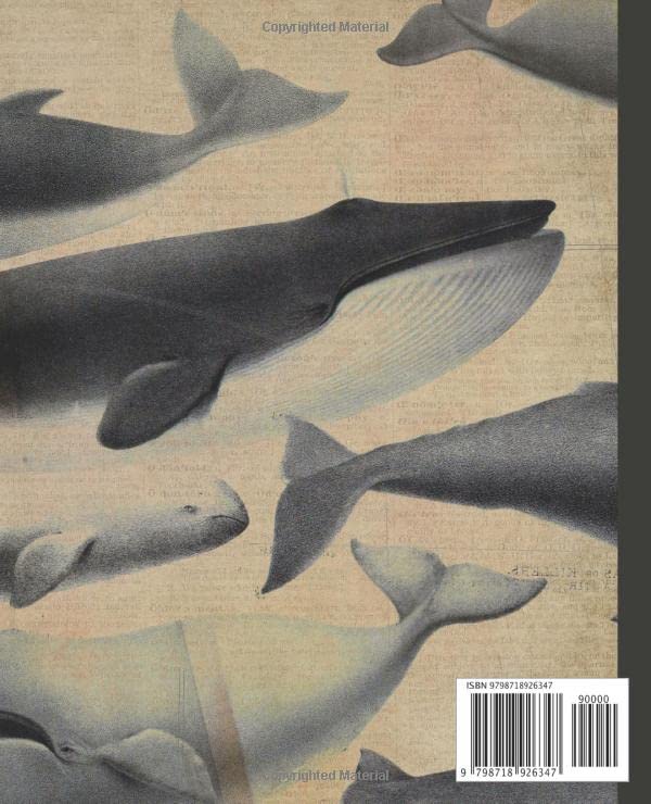Composition Notebook: Premium Ocean sea life animals whale composition notebook. Vintage dictionary print style 100 page notebook college ruled. ... (Ocean Sea life & sea creatures notebooks.)