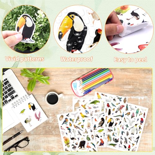 Bird Stickers 850 Count Tropical Bird Parrot Flamingo Peacock Hummingbirds Stickers Animal Party Favors Gifts Sticky Decor for Scrapbook Calendar Planner Gift Wrap Decor - color: Bird