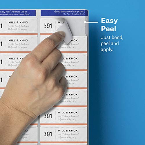 AVERY Clear Address Labels 1 x 2-5/8 inch | Matte Finish | Sure Feed Technology | For Inkjet Printers | 300 Labels, Pack of 5 - size: One Size (Pack of 5)