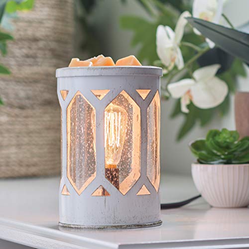 Candle Warmers Etc. Vintage Bulb Illumination Fragrance Warmer- Light-Up Warmer for Warming Scented Candle Wax Melts and Tarts to Freshen Room, Arbor - size: Arbor