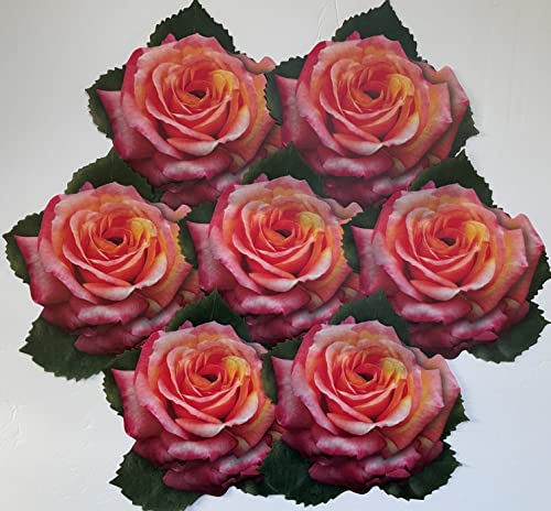 Parchment Paper Leaves for Cheese & Charcuterie Boards - Sisson Roses, Pack of 20. Made in USA with French Parchment Paper. Rinse clean, dry, reuse. - color: Rose