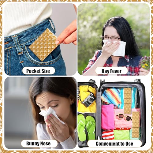 Therwen 100 Pack Pocket Tissues Travel Bulk 1000 Sheet,Classic - style: Classic