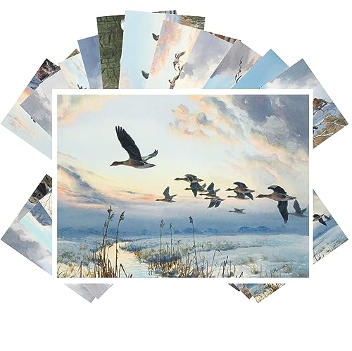 PIXILUV Vintage Postcards (24 pcs 4"x6" each) Incredible Scenes of Birds in Flying In Flocks Vintage Postcards Antique Botannical Book Illustration Poster - color: Orange