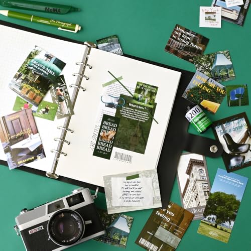 Monolike Capture The Life Sticker Pack - New York (102Pcs) - Variety Pack, Journal, Scrapbook, Waterproof, Fancy Sticker - color: Capture the Life - New York