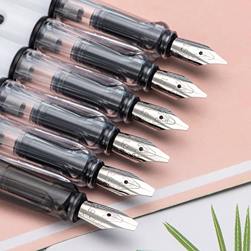 Lanxivi Calligraphy Fountain Pen Set, 6 Assorted Tip Sizes and Color for Art Drawing and Writing Signature - color: 6 Size and Assorted Color