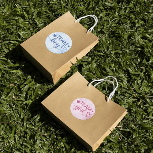 Pack 90 Pcs Team Boy Or Team Girl Stickers for Gender Reveal Party Favors Kids Boys Girls Toddlers Baby Shower Invitations Funny Cute Sticker Round Waterproof Small Vinyl Decals - color: Gender Reveal A21