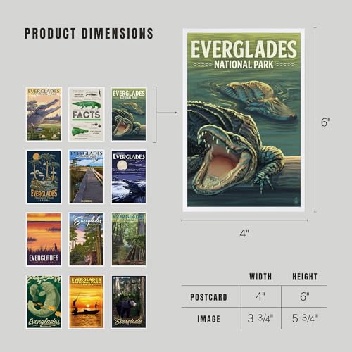 Lantern Press Everglades National Park - Postcard Set of 12 Different Original Hand Illustrated Postcards … - color: Everglades National Park