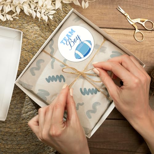 Pack 90 Pcs Team Boy Or Team Girl Stickers for Gender Reveal Party Favors Kids Boys Girls Toddlers Baby Shower Invitations Funny Cute Sticker Round Waterproof Small Vinyl Decals - color: Gender Reveal A21
