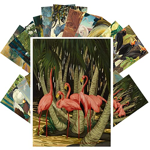 PIXILUV Vintage Postcards (24 pcs 4"x6" ea) Gorgeous Peaceful Bird Paintings of Cranes and Flamingoes Vintage Postcards Retro Greeting Card Book Illustration Reprint - color: Green