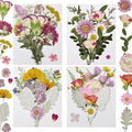 Dried Pressed Flowers Real Natural - size: 75 pcs Dried Flowers