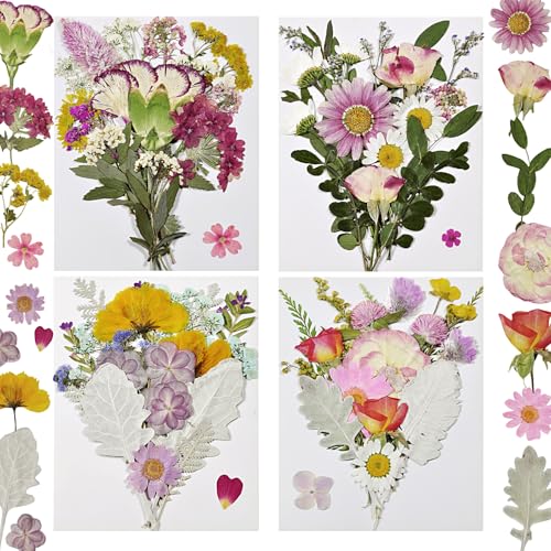 Dried Pressed Flowers Real Natural - size: 75 pcs Dried Flowers