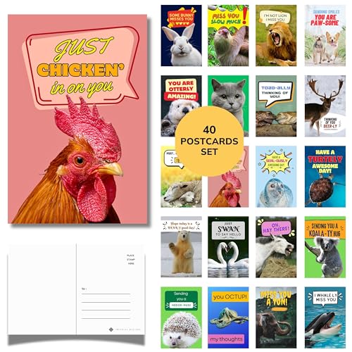 Imperial Designs 40 Pack Funny Punny POSTCARDS (4"x6") - Say I Miss You, Hello, Thank You, Thinking of You with a Fun Animal Pun by Mail - Bulk Postcards for Parents, Grandparents, Summer Camp