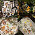 240pcs Gold Foil Transparent Flower Botanical Stickers,Holographic Pressed Flower Themed Stickers Set for Scrapbook Supplies Junk Journal Bullet Journal Planner Laptops (240pcs Flowers & Leaves) - color: 240pcs Flowers & Leaves