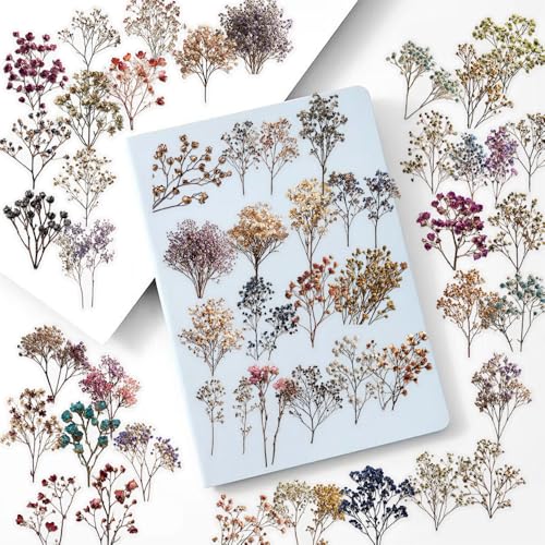 50Pcs Vintage Dried Flower Transparent PET Waterproof Dried Flower Decals - style: dride flower