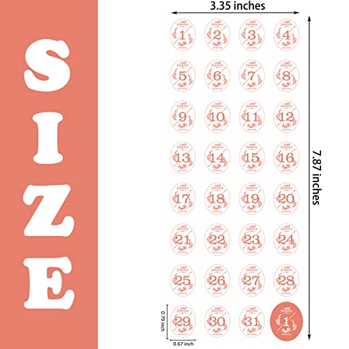 Aixoom 12 Monthly Calendar Number Stickers, Colorful Planner Date Stickers - color: Colorful Calendar Stickers