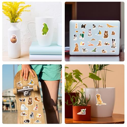 Pet Animals Stickers 660 Count Dog Cat Animal Pet Rabbit Parrot Fish Bird Reptiles Stickers Party Favors Gifts Sticky Decor for Scrapbook Calendar Planner Gift Wrap Decor - color: Pet